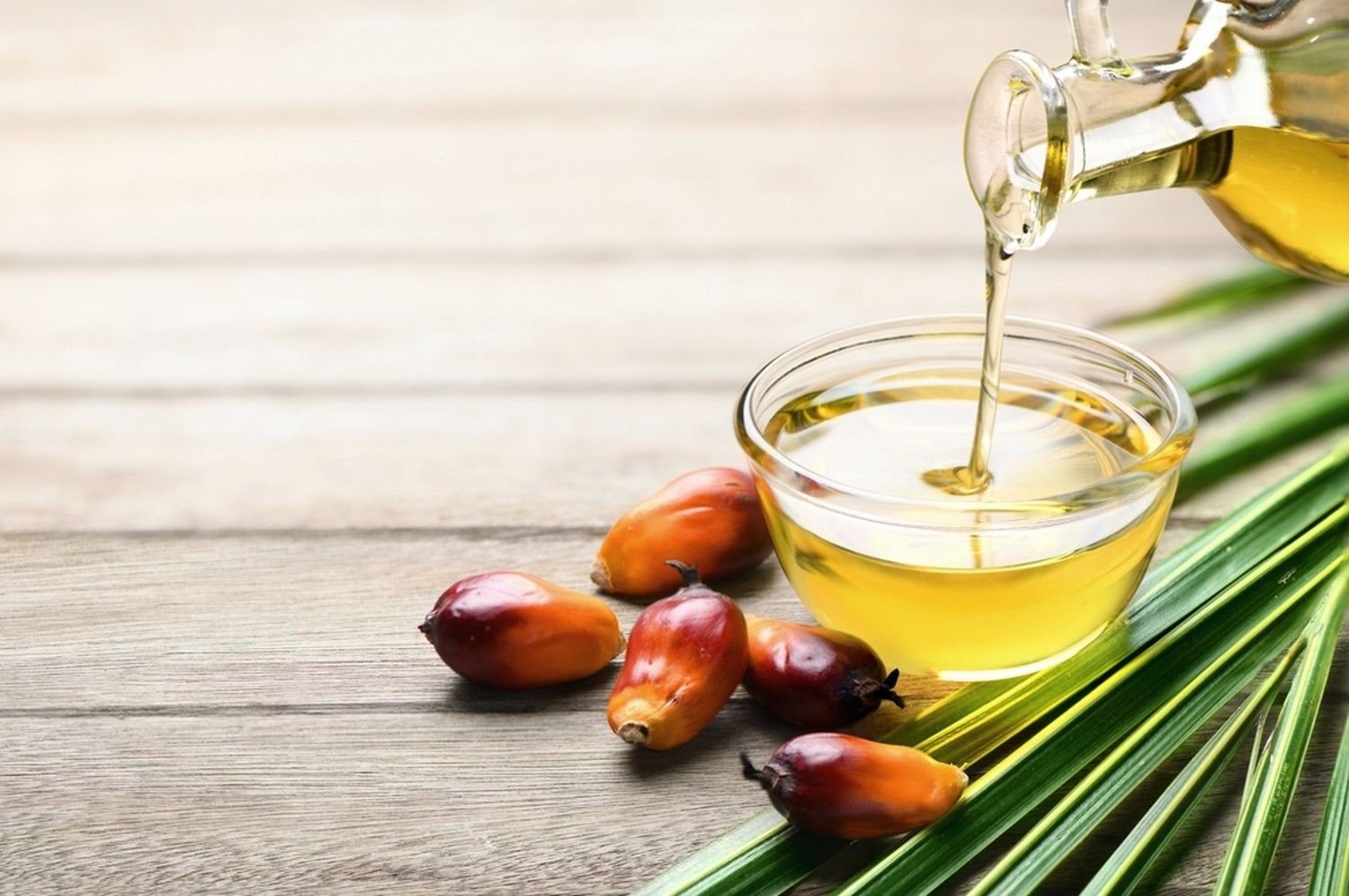 Palm Oil Products